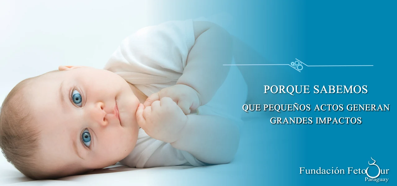 Fundación FetoSur · Portada original 3