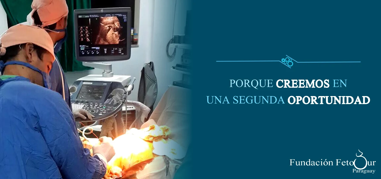 Fundación FetoSur · Portada original 1
