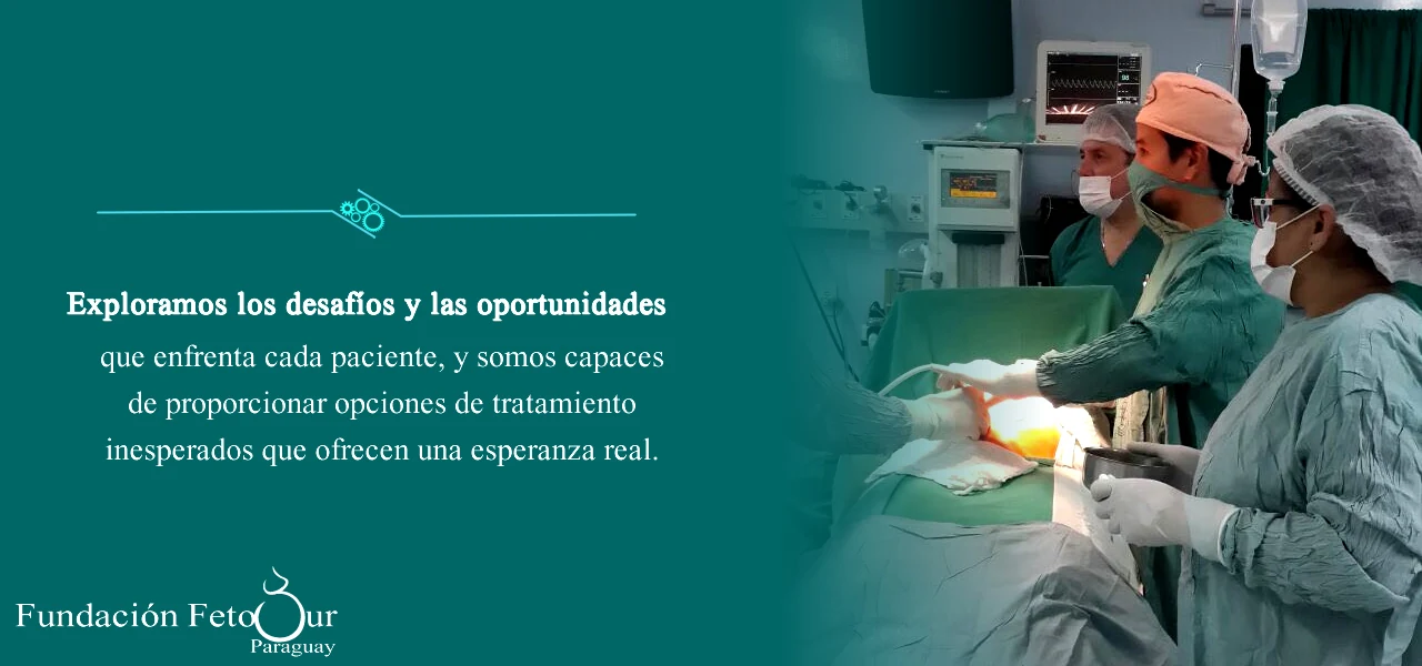 Fundación FetoSur · Portada original 2